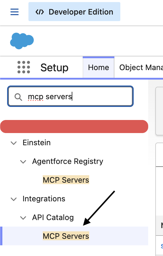 MCP Server list in Setup